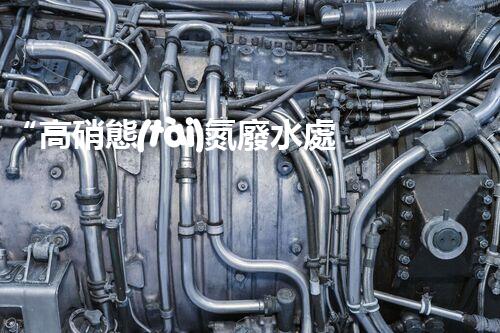 “高硝態(tài)氮廢水處理，綠色環(huán)保新篇章”